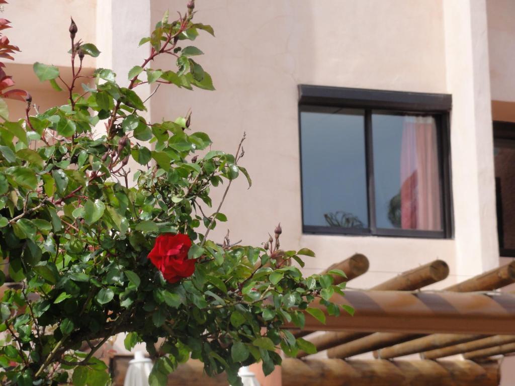 Hôtel L'Hacienda Martigues Buitenkant foto